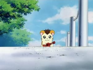 Hamtaro Odcinek 10