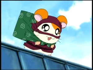 Hamtaro Odcinek 52