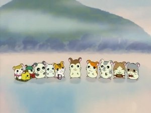 Hamtaro Odcinek 23