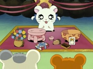 Hamtaro Odcinek 36