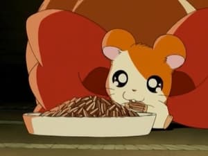 Hamtaro Odcinek 24