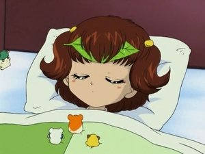 Hamtaro Odcinek 16