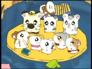 Hamtaro Odcinek 48