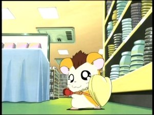 Hamtaro Odcinek 49