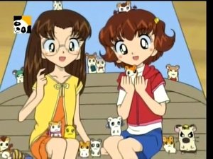 Hamtaro Odcinek 53