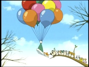 Hamtaro Odcinek 39