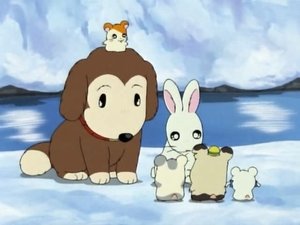 Hamtaro Odcinek 30