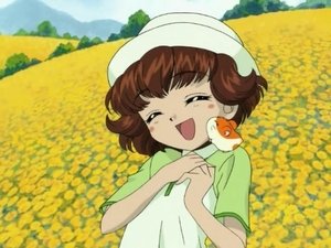 Hamtaro Odcinek 8