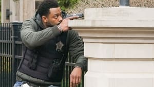 Chicago P.D. Odcinek 19