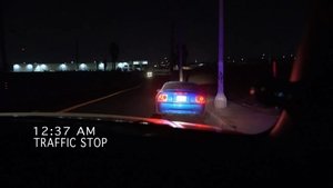 Cops Odcinek 29