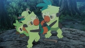 Pokémon Gwiazda jednego patyka!
