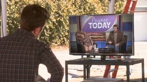 Parks and Recreation Manewry w biurze