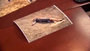 Parks and Recreation Pilot