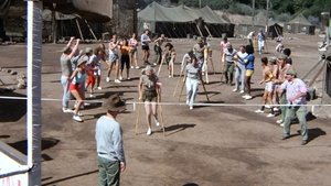 M*A*S*H Olimpiada