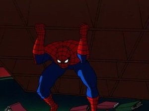 Spider-Man Kot: część 1
