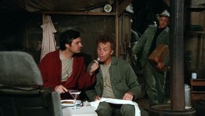 M*A*S*H Areszt Domowy