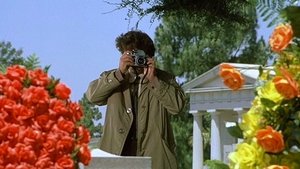 Columbo Błędna reakcja