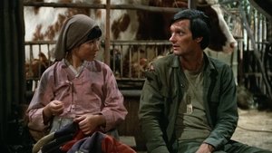 M*A*S*H Sokole Oko
