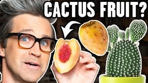 Good Mythical Morning Odcinek 28
