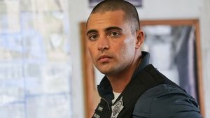 Chicago P.D. Odruch sympatii