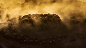Nature Odcinek 1