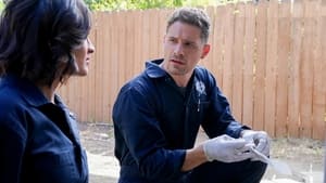 CSI: Vegas Spaleni
