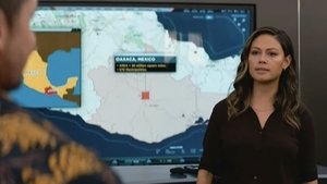 Agenci NCIS: Hawaje Kurtyna w górę