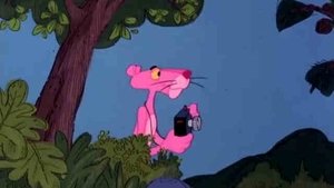 The Pink Panther Odcinek 27