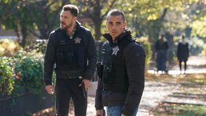 Chicago P.D. Robota