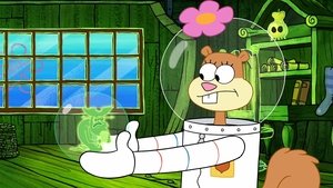 SpongeBob Kanciastoporty Odcinek 64