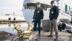 Agenci NCIS Odcinek 13