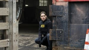 FBI Odcinek 13