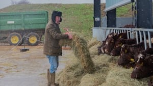 Farma Clarksona Borsuczenie