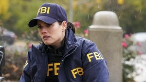 FBI Odcinek 16