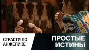 Simple Truths Odcinek 311