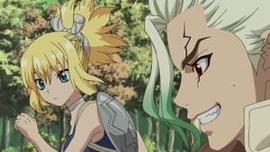 Dr. Stone Pierwszy kontakt