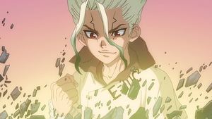 Dr. Stone Skrzynia skarbów