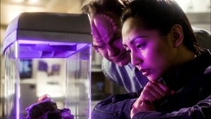 Star Trek: Enterprise Walcz albo uciekaj