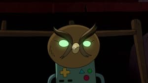 Pora na przygodę: Fionna i Cake Jerry