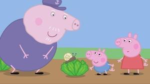 Świnka Peppa Małe zwierzątka