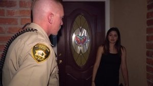 Cops Odcinek 15
