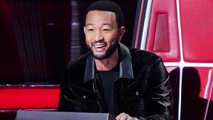 The Voice Odcinek 20