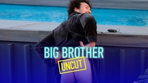 Big Brother Odcinek 20