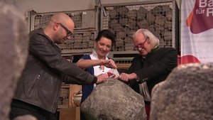Bares für Rares Odcinek 206