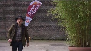 Bares für Rares Odcinek 69