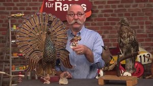 Bares für Rares Odcinek 60