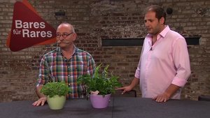 Bares für Rares Odcinek 74