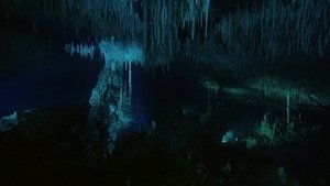 Planeta Ziemia Odcinek 20