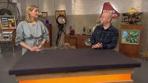 Bares für Rares Odcinek 208