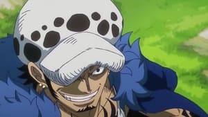 One Piece Zwycięzca bierze wszystko! Prawo kontra Czarnobrody!